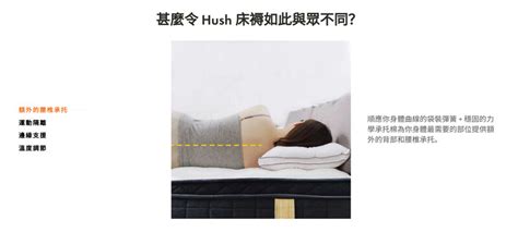 雙人枕頭香港|Hush Home® 床褥 